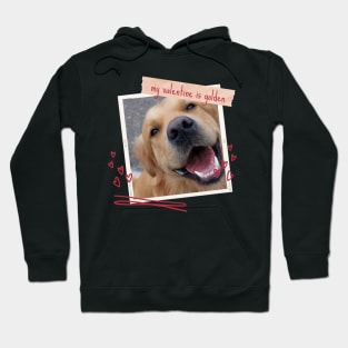 My Valentine Is Golden Retriever Valentines Day Pet Dog Hoodie